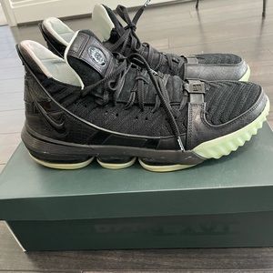 Lebron 17 SB